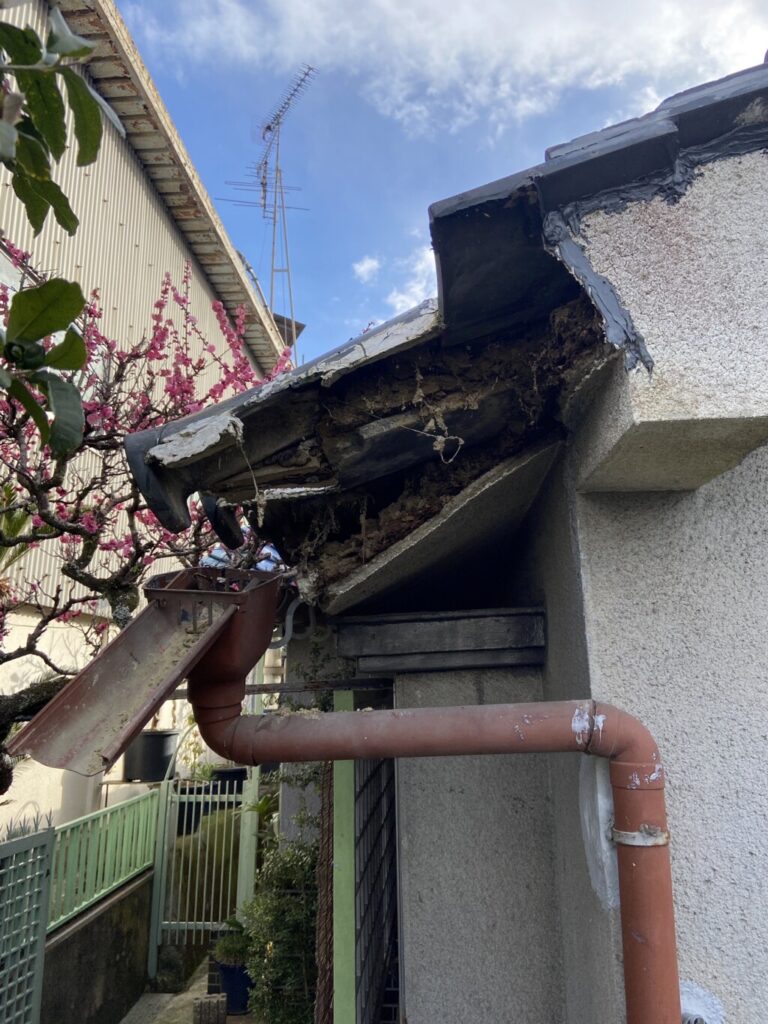 雨漏り、屋根改修（工事前）