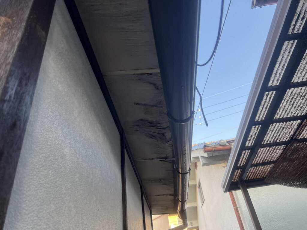 軒の天井、雨どいの劣化